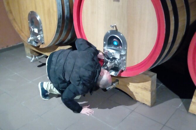 Etna private tour with wine cellar gambino lunch and wine tasting - What the guide adds to a long day
