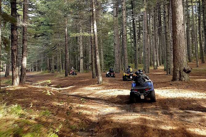 Etna quad tour - half day - The ride itself: fun, but not gentle
