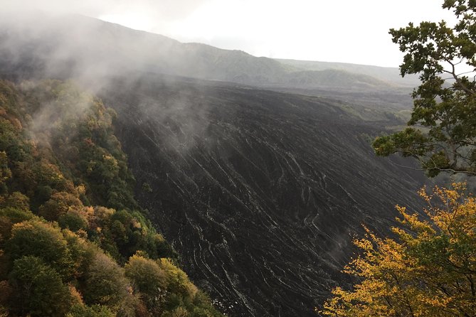 Etna Tour for Cruises (from the port of Catania) - Walking the Silvestri craters for one hour