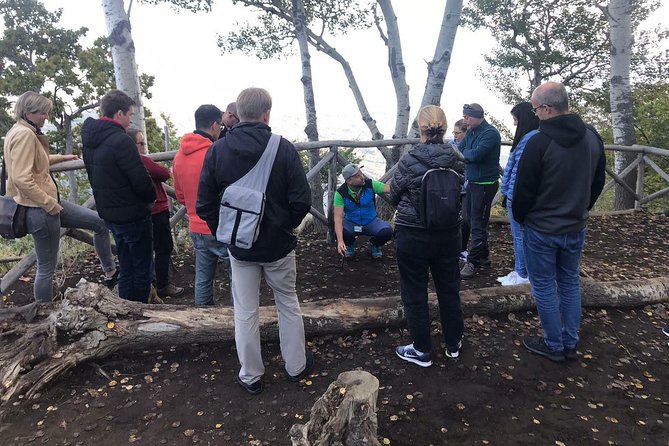 Etna Tour - HalfDay Small Group & licensed Tour Guide - What the $90.74 price includes