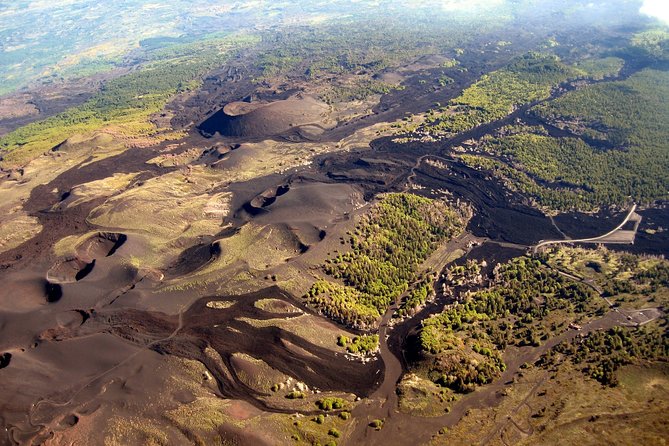 ETNA - Trekking to the Craters Eruption of 2002 - Beech woods, laricius pines, and the changing scenery