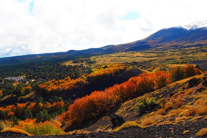 ETNA - Trekking to the Craters Eruption of 2002 - Is $36.14 a fair price?