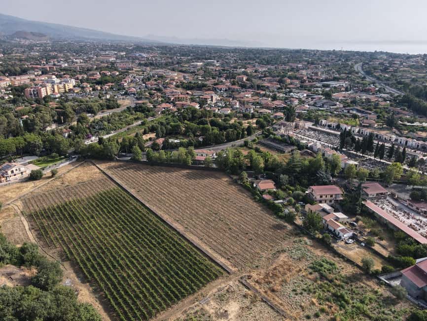 Etna: Urban Winery, Vineyards Walk & Wine Tasting at Sunset - Should you book the Etna Urban Winery tour?
