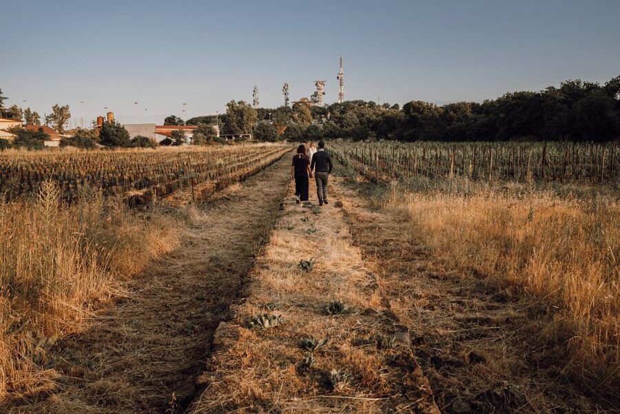 Etna: Urban Winery, Vineyards Walk & Wine Tasting at Sunset - Inside the 1790 family palmento