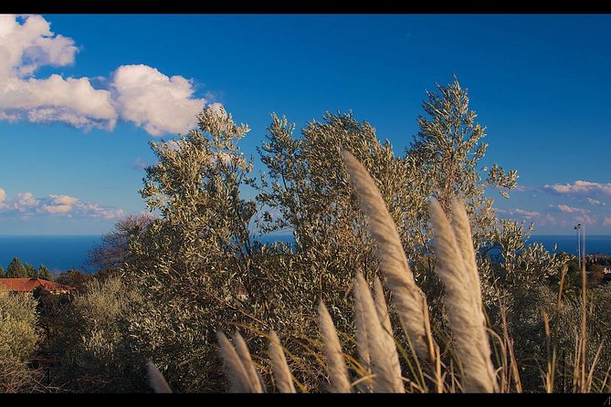 Etna Volcanic Yoga and Meditation Weekend (Private Experience) - Key points to know before booking
