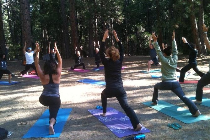 Etna Volcanic Yoga and Meditation Weekend (Private Experience) - What private service changes