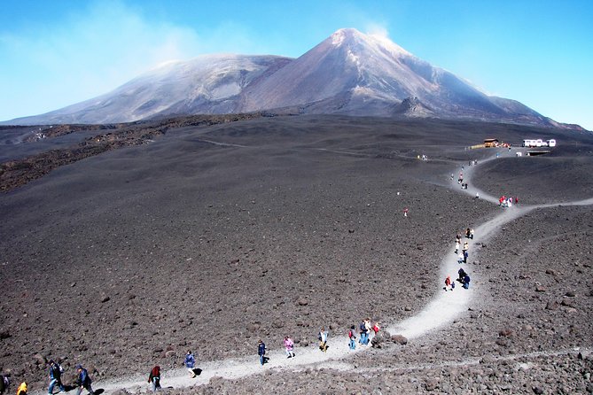 Etna Volcanic Yoga and Meditation Weekend (Private Experience) - Yoga in the volcanic woods