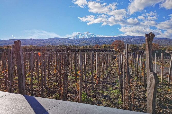Etna Wine and Alcantara with lunch - Inside the lava cave with a headlamp