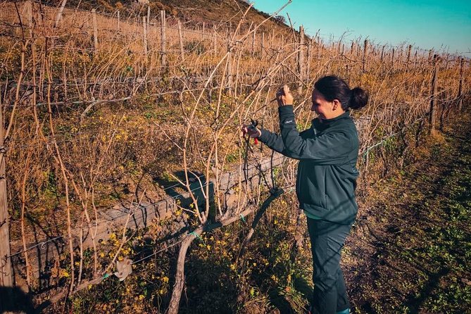 Etna Wine and Food Volcanic Day Tour - Private Experience - The Bottom Line: Should You Book It?