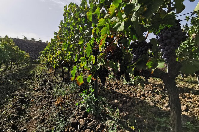 Etna Wine And Taormina From Messina - Why Taormina and Etna belong together