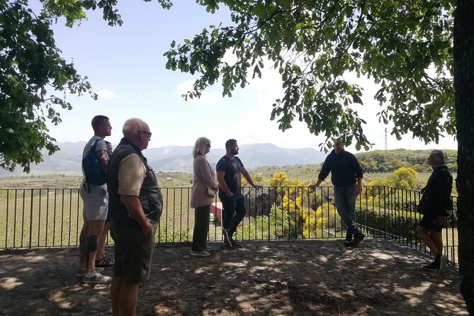 Etna Wine And Taormina From Messina - What happens at the Etna winery