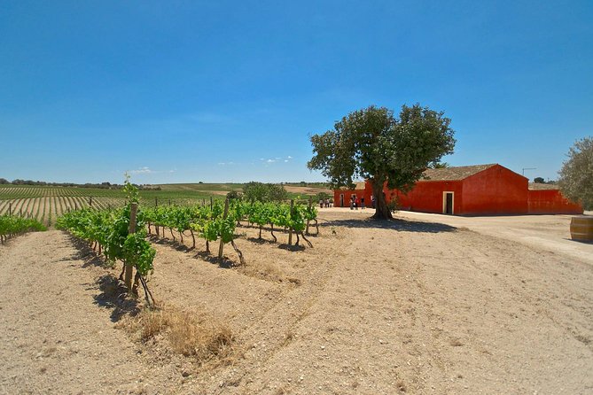 Etna Wine & Food Volcanic Week Grand Tour (Private) - Private transport from Catania Airport