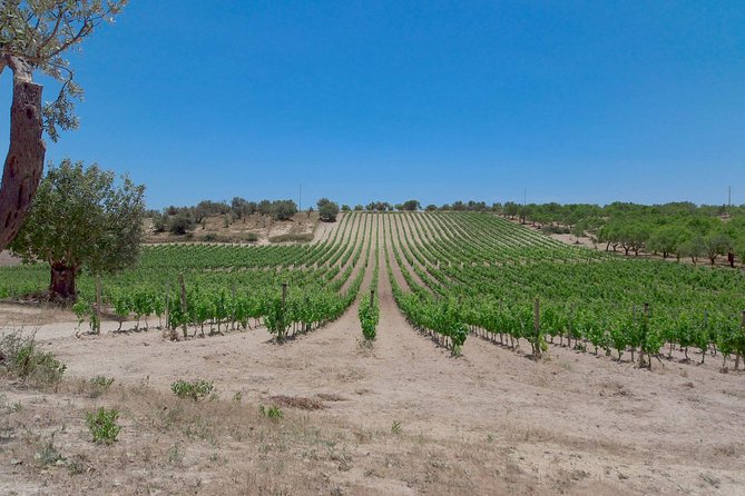 Etna Wine & Food Volcanic Week Grand Tour (Private) - How to prepare before you book