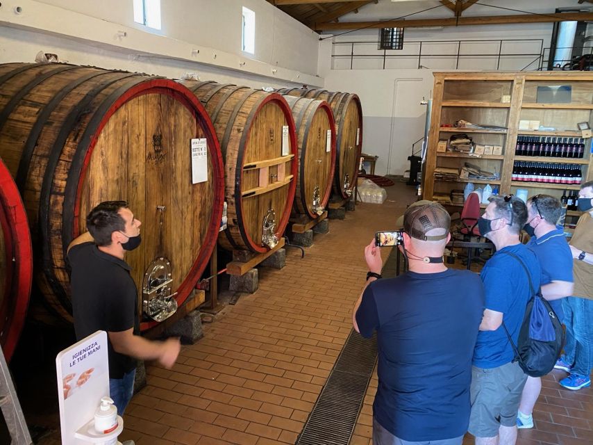 Etna & Wine Private Day Tour - Key points to know before booking