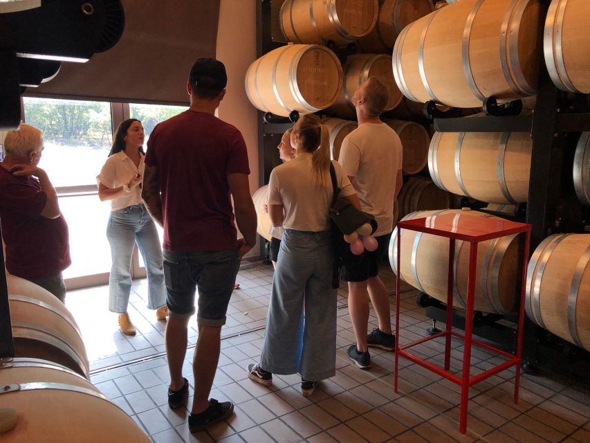 Etna & Wine Private Day Tour - Who will enjoy this private Etna day