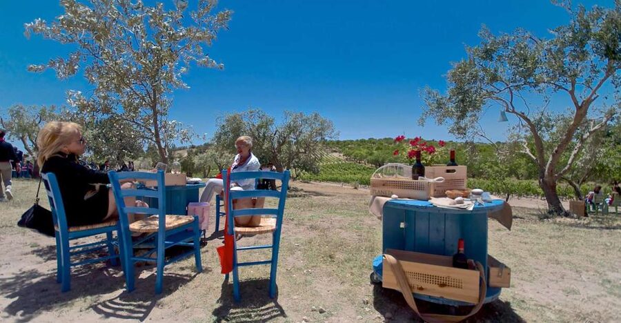 Etna & Wine Private Day Tour - Etna first, wine second