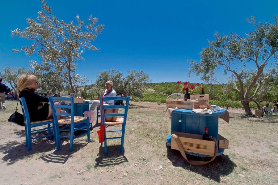 Etna & Wine Private Day Tour - Walking around Etna’s old craters
