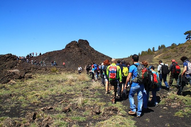 ETNA & WINE, TAORMINA TOUR FD from CATANIA (GUIDE and LUNCH Included) - Walking Etna’s craters and old woods