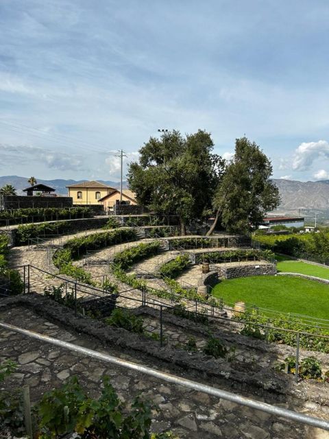 Etna: Wine Tasting and Food Tour - The second winery turns tasting into lunch