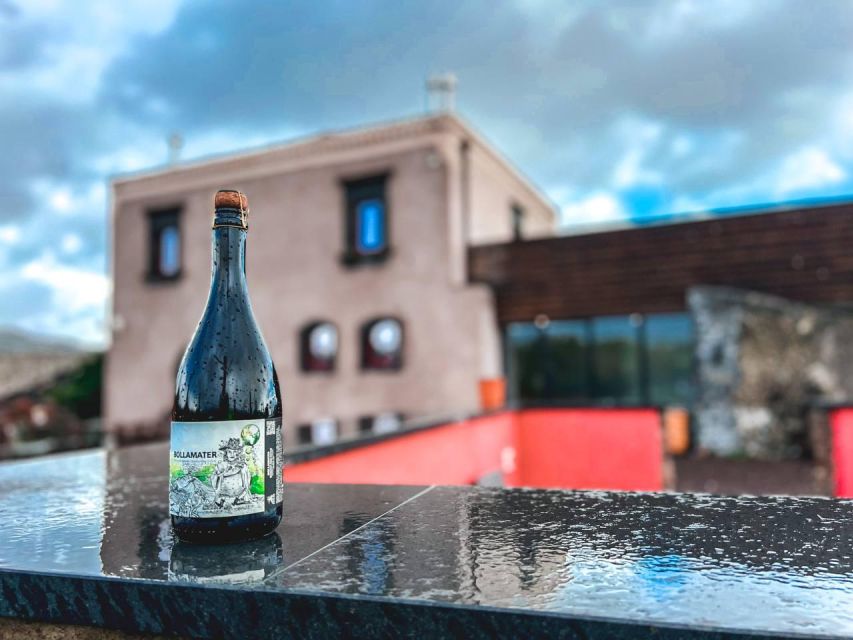 Etna: Wine Tasting and Food Tour - The drive, group size, and pace