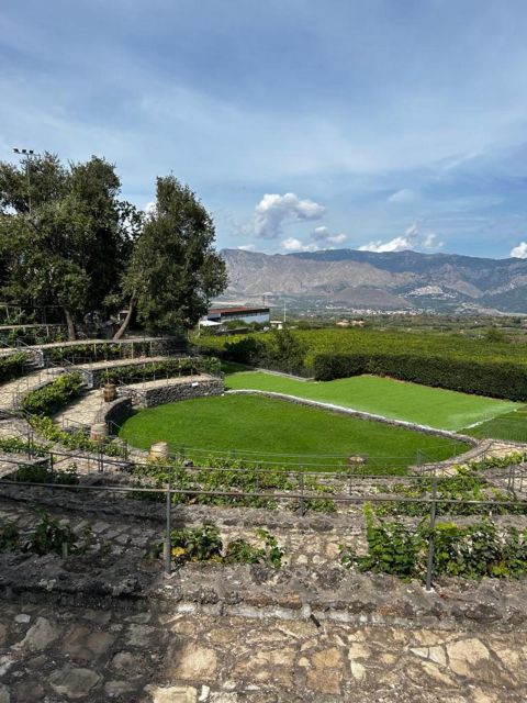 Etna: Wine Tasting and Food Tour - Food, allergies, and dietary needs