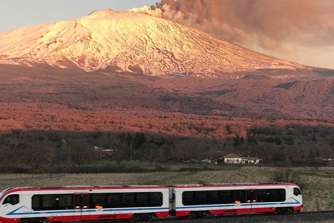Etna Wine Tasting and Train Tour - Randazzo and the winery stop