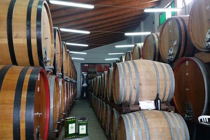 Etna Wine Tasting & Sicilian Lunch –Small Group Tour from Catania - Key points to know before booking