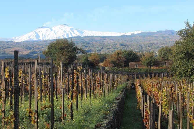 Etna Wine Tasting & Sicilian Lunch –Small Group Tour from Catania - What the guides add to the day