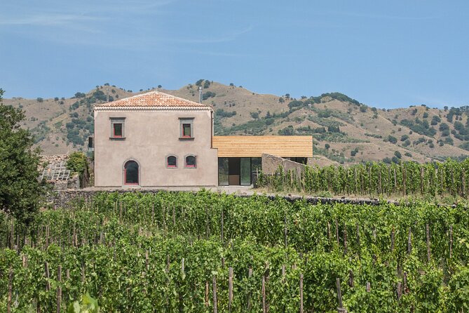 Etna Wine Tasting & Sicilian Lunch –Small Group Tour from Catania - Who will get the most from the $135.16 price