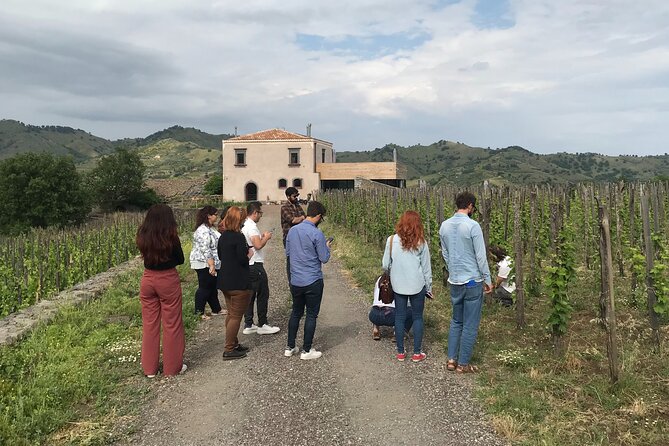 Etna Wineries Tour - Small Groups from Taormina - From Taormina to Etna’s northern vineyards