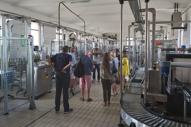 Etna Wineries Tour - Small Groups from Taormina - Is $174.99 good value?