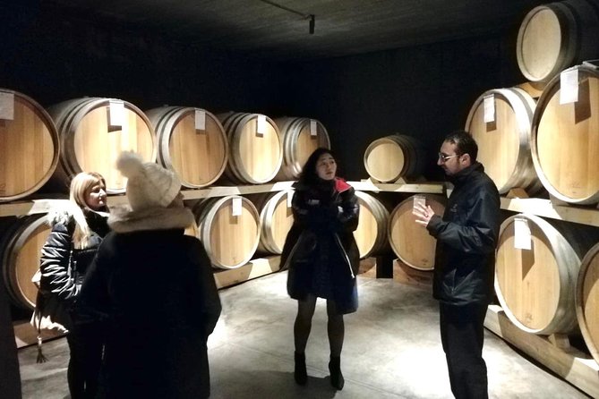 Etna Wineries Tour - Small Groups from Taormina - Who will enjoy this Etna wine tour?