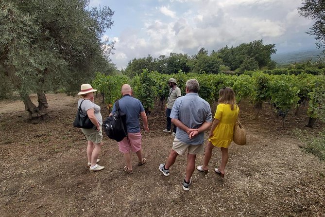 Etna Wineries Tour - Small Groups from Taormina - First winery: tasting, food, and uneven cellar access