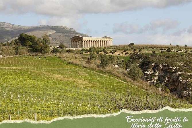 five sense outdoor experience - Through the vineyards near Castellammare del Golfo