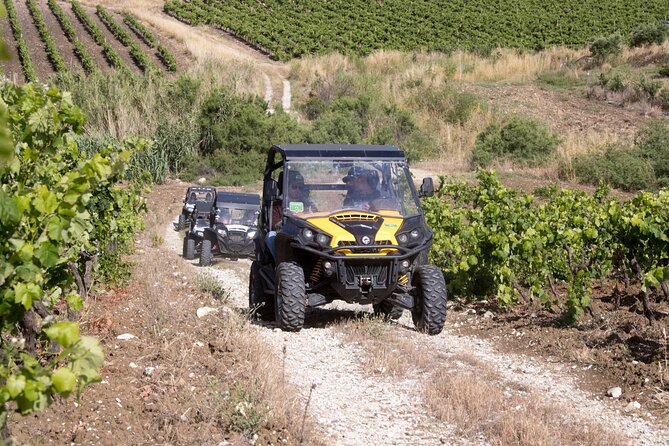 five sense outdoor experience - Monte Pispisa Forest and the Gulf view
