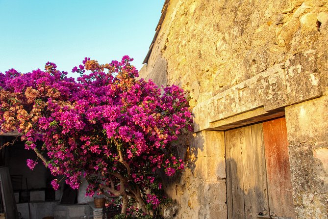Food Experience at our Farm in Noto Hills - The strongest reasons to book
