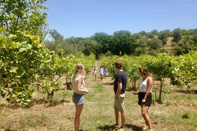 Food Experience at our Farm in Noto Hills - Who will enjoy this most