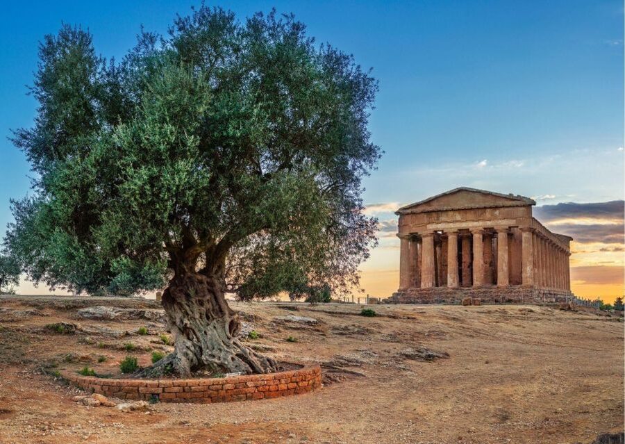 From Agrigento to Siracusa: Valley of Temples & Roman Villa - Villa Romana del Casale and its remarkable mosaic floors