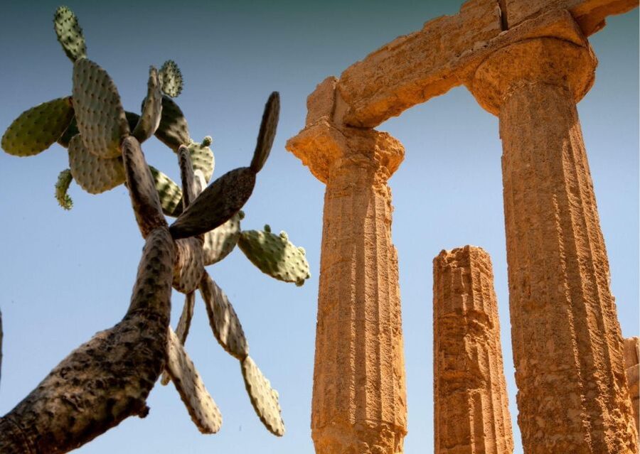 From Agrigento to Siracusa: Valley of Temples & Roman Villa - The long ride through central Sicily