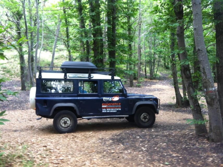 From Catania: 4x4 Mt Etna Jeep Tour - Who should book this Etna outing?
