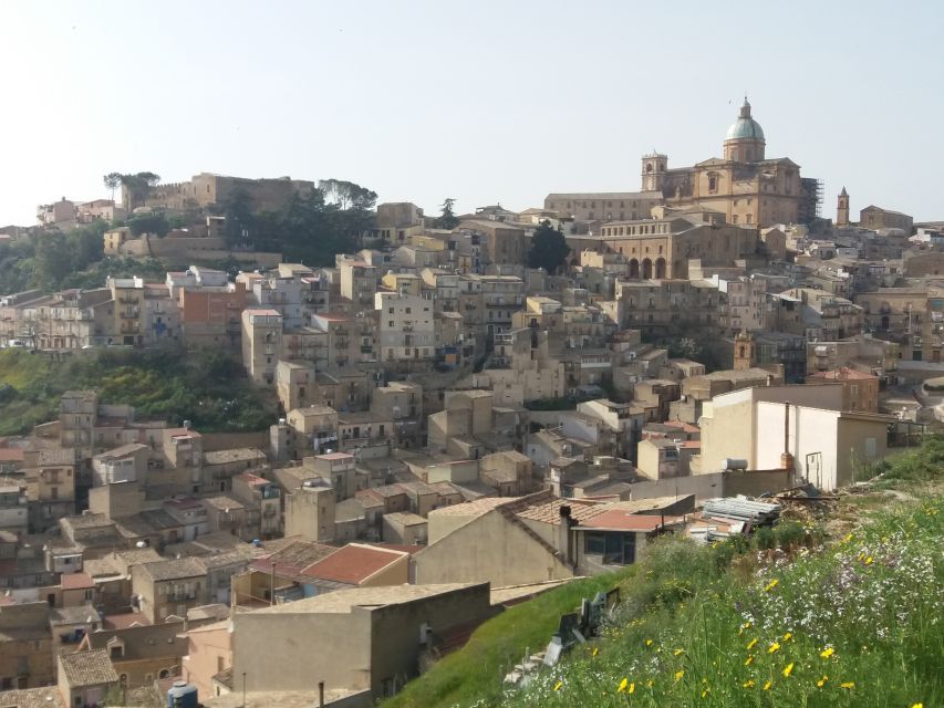 From Catania: Agrigento and Piazza Armerina Full-Day Trip - Who should book this day trip