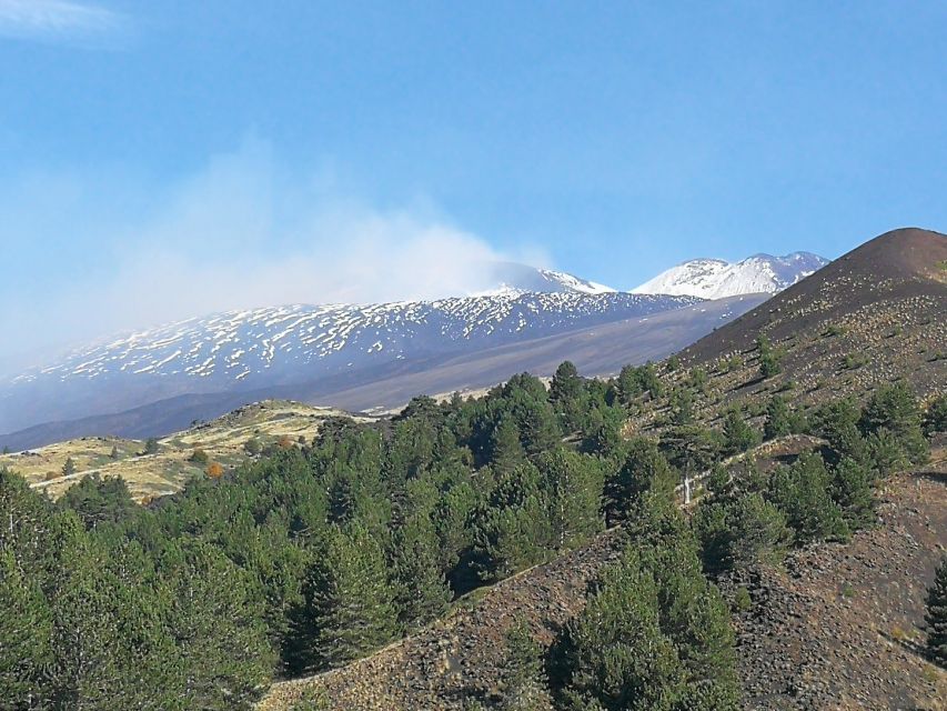 From Catania: Etna & Taormina Day Trip - Timing, transport, and group size
