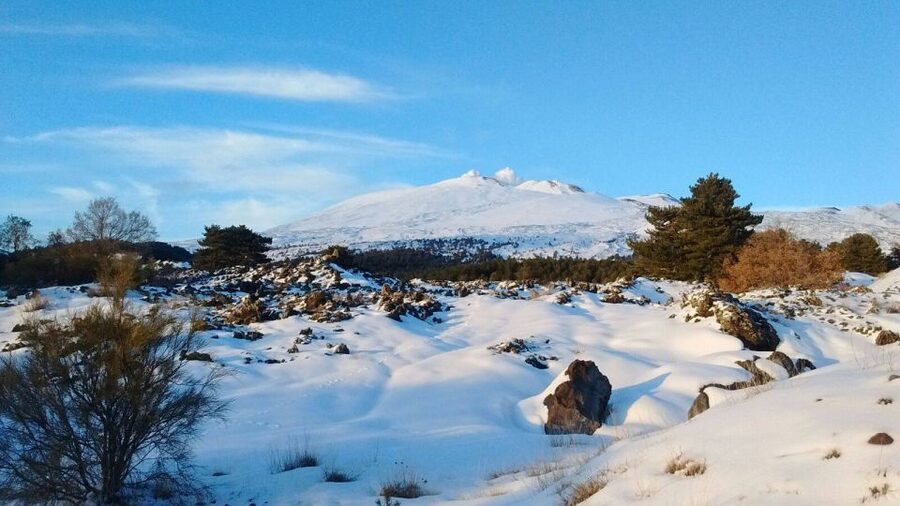 From Catania: Guided Tour of Mount Etna and Taormina - The morning pickup from Catania