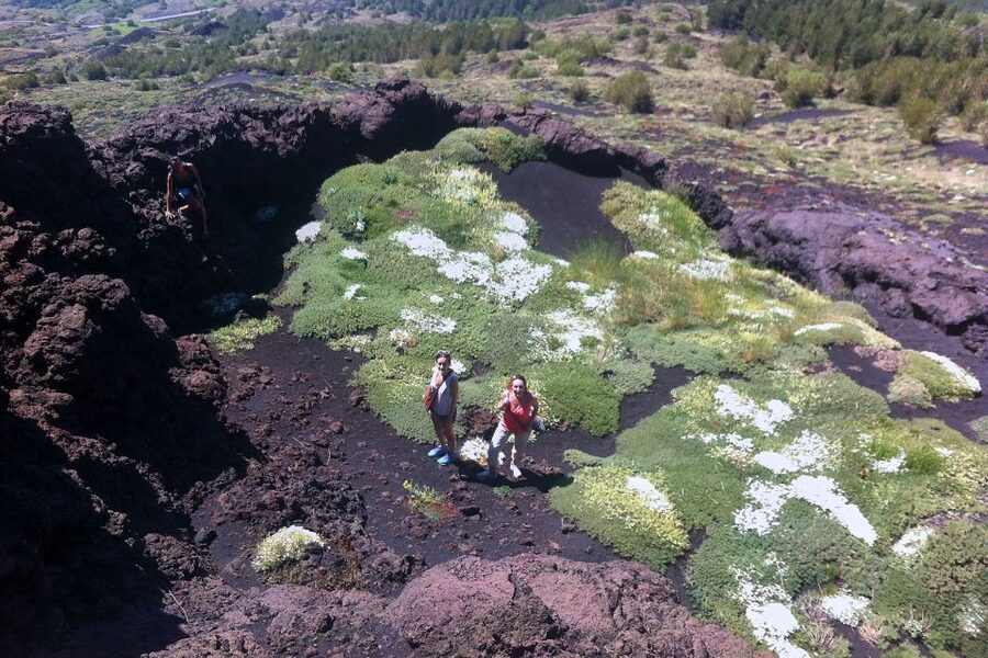 From Catania: Mount Etna Half-Day Tour and Wine Experience - Guides who shape the day