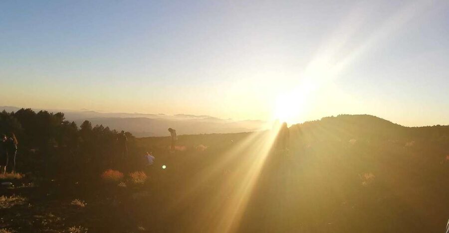 From Catania: Mount Etna Sunset Tour with Tasting and Cave - The tasting at Enoteca dell’Etna