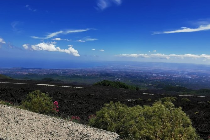 From Catania: Private mt. Etna trekking and pic-nic - Who will get the most from this Etna outing