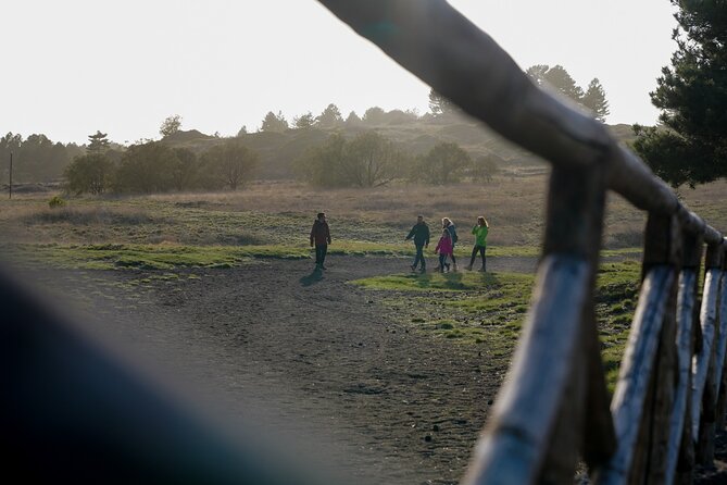 From Catania: Private mt. Etna trekking and pic-nic - A private six-hour start from Catania