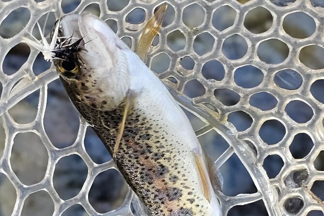 From Catania, Syracuse and Taormina: fly fishing experience - A guide-led day, not just a ride into the countryside