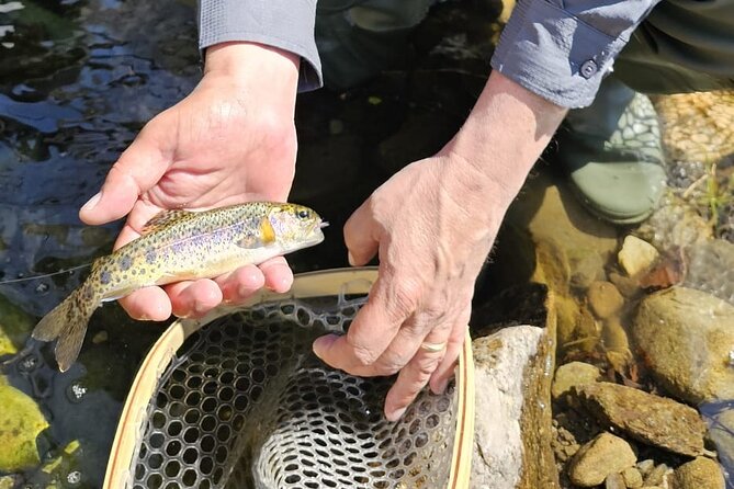 From Catania, Syracuse and Taormina: fly fishing experience - Why the group size changes the experience