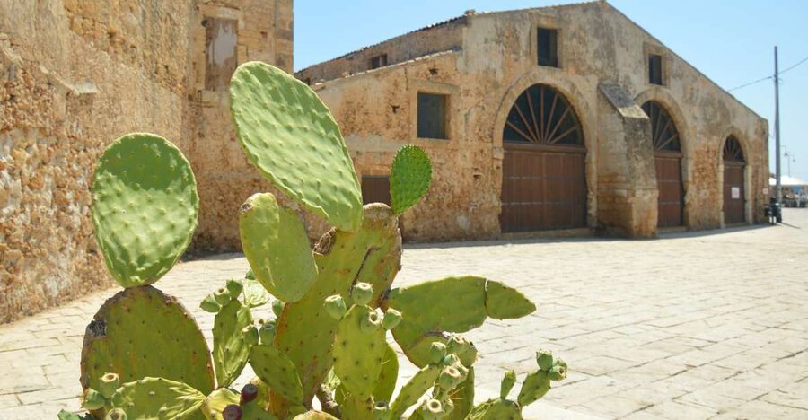From Catania: Syracuse, Ortigia & Marzamemi Full-day Tour - Key points to know before booking